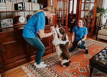 Fort Collins House Cleaning Services All Star Cleaning Services of Fort Collins