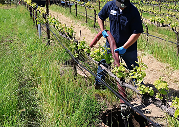 Santa Rosa Septic Tank Services AllStarz Pumping & Engineering