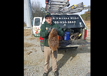 All Things Wild DP, LLC - Columbia, SC Animal Removal