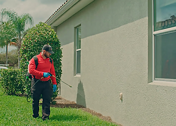 Cape Coral Pest Control Companies All U Need Pest Control