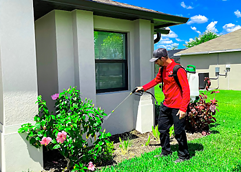 Cape Coral Pest Control Companies All U Need Pest Control