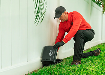 Jacksonville Pest Control Companies All U Need Pest Control