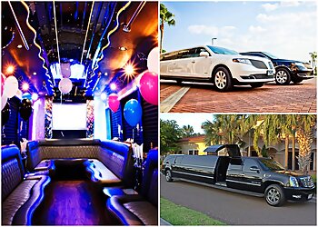 McAllen Limo Service All Valley Limousine