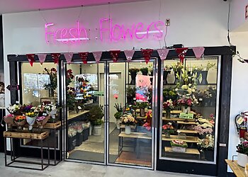 Escondido Florists Allen's Flowers and Plants
