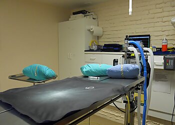 Allentown Veterinary Clinics Allentown Animal Care