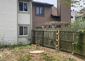 Virginia Beach Tree Services Alleys Tree Service