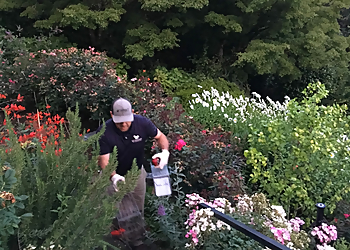 Allied Pest and Wildlife Portland Animal Removal Allied Pest and Wildlife