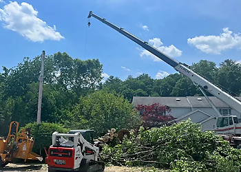 Springfield Tree Services Allied Tree Service Inc.