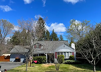 Springfield Tree Services Allied Tree Service Inc.