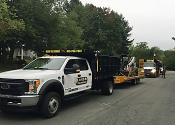 Allied Tree Service Inc. Springfield Tree Services image 1