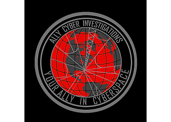Ally Cyber Investigations, LLC Virginia Beach Private Investigation Service