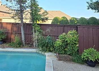 Almaraz Tree Services - Garland, TX Tree Services - Service Image