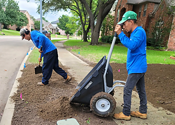 Almaraz Tree Services - Garland, TX Tree Services - Team Working Image