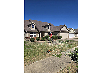 Almaraz Tree Services Almaraz Tree Services - Garland, TX Tree Services - Maintenance Service Image