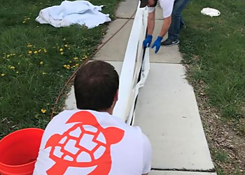 West Valley City Septic Tank Services Aloha Plumbing, Sewers, & Drains