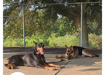 AlphA and Omega Dog Training in Cleveland ThreeBestRated