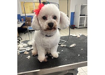 Albuquerque Pet Grooming Alpha Dog Grooming