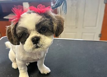 Albuquerque Pet Grooming Alpha Dog Grooming