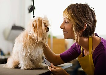 Brownsville Pet Grooming Alpha Pups