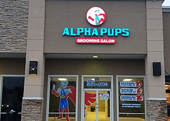 Alpha Pups Brownsville Pet Grooming image 1