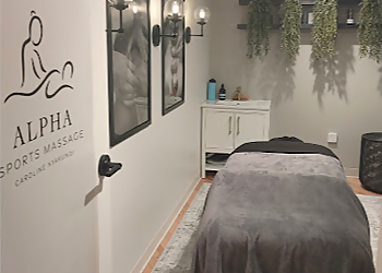 Alpha Sports Massage LLC Minneapolis Massage Therapy image 1