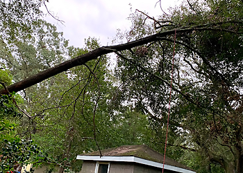 North Charleston Tree Services Alpha Tree Service 843, LLC