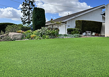 Chula Vista Landscaping Companies Alpha Turf Inc.