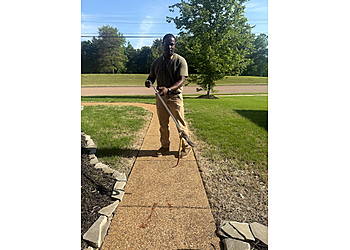 Memphis Animal Removal Alpha Wildlife