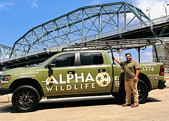 Chattanooga Animal Removal Alpha Wildlife Chattanooga
