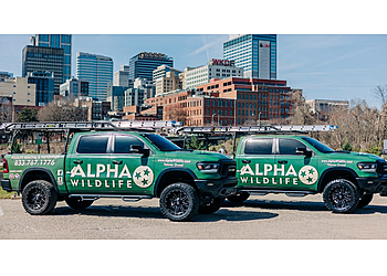 Chattanooga Animal Removal Alpha Wildlife Chattanooga