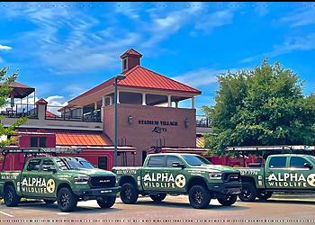 Alpha Wildlife Columbia - Columbia, SC Animal Removal