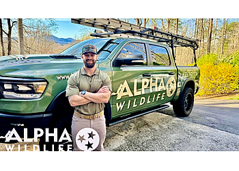 Alpha Wildlife Knoxville Knoxville Animal Removal image 1