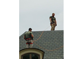 Nashville Animal Removal Alpha Wildlife Nashville