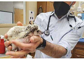 Boulder Veterinary Clinics Alpine Hospital For Animals