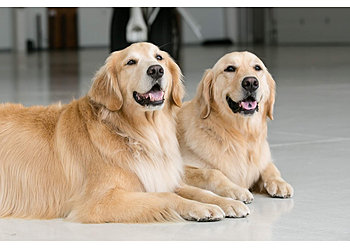 Boulder Veterinary Clinics Alpine Hospital For Animals