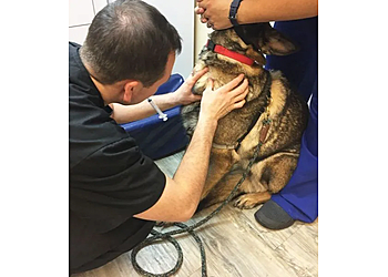 Concord Veterinary Clinics Alpine Veterinary Hospital