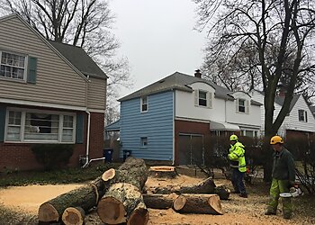 Buffalo Tree Services Al's Tree Service