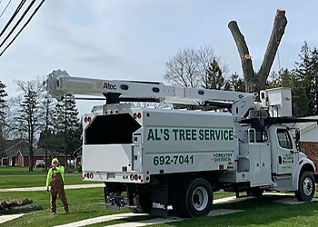 Buffalo Tree Services Al's Tree Service
