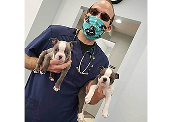 Rancho Cucamonga Veterinary Clinics Alta Loma Animal Hospital