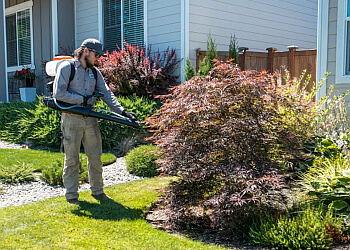 Wichita Pest Control Companies Alta Pest Control