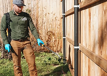 Norfolk Pest Control Companies Alta Pest Control Norfolk