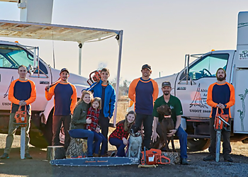 Thornton Tree Services Altitude Arborist, LLC