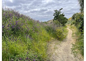 San Jose Hiking Trails Alum Rock Park