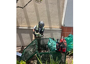 Salinas Plumbers Alvarez Plumbing