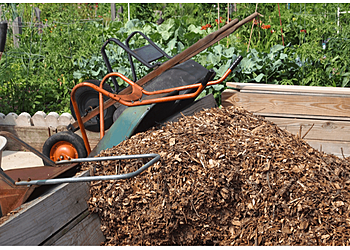 Huntington Beach Lawn Care Services Alvino Lawn Care