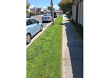 Alvino Lawn Care Huntington Beach Lawn Care Services image 1