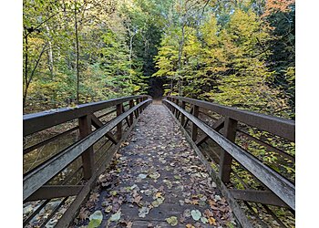 Grand Rapids Hiking Trails Aman Park Trail