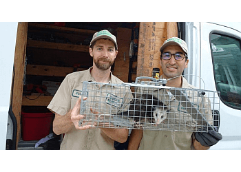 Amarillo Animal Removal Amarillo Animal Exterminator