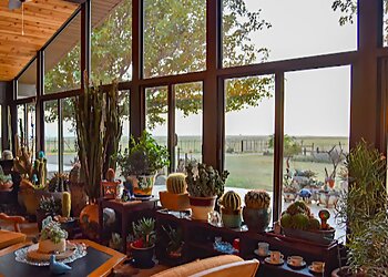 Amarillo Window Treatment Stores Amarillo Solar Shade Co.