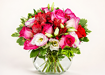 Amazon Flowers - Miramar, FL Florists - Bouquet Image